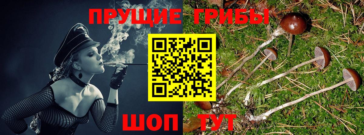 Кисловодск  Галлюциногенные грибы мицелий  Вход с VPN 