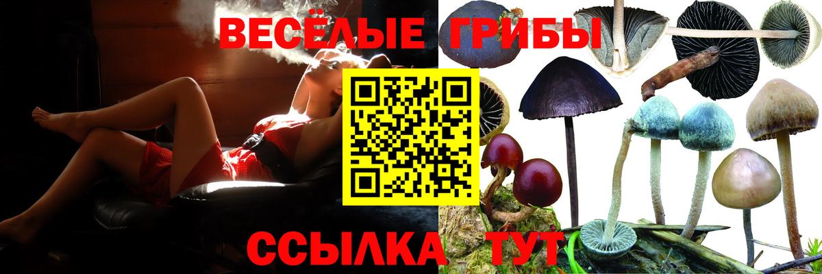 Галлюциногенные грибы GOLDEN TEACHER Кисловодск